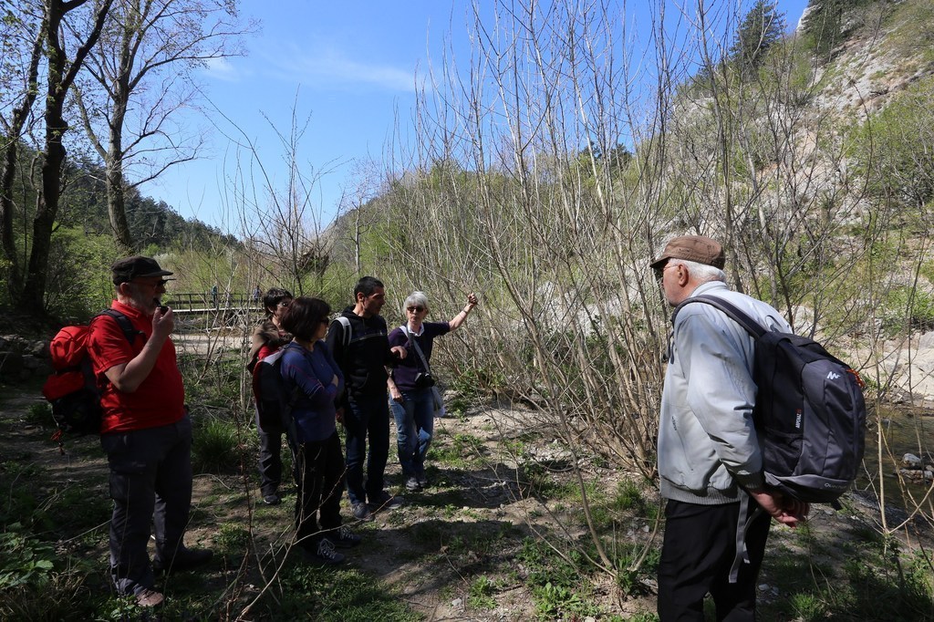 gal/Rosandra_12_aprile_2015/Rosandra_12apr2015(02)_gruppo_di_cittadini_nei_pressi_del_ponticello_vicino_a_sterpaglia_di_pioppo.JPG
