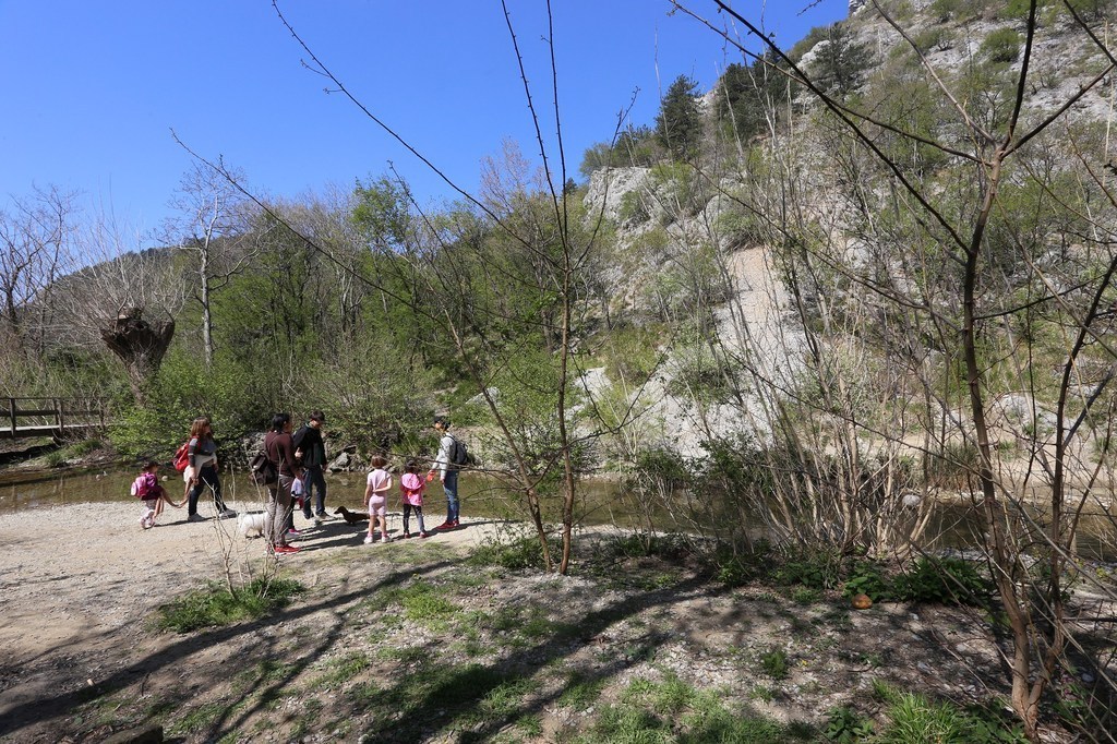 gal/Rosandra_12_aprile_2015/Rosandra_12apr2015(07)_nei_pressi_del_ponticello_in_legno_cittadini_e_in_primo_piano_crescita_della_specie_invasiva_Robinia_pseudacacia.JPG