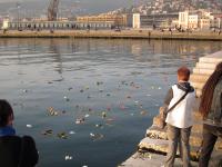 thumbnail.php?thumbnail=gal/21_aprile_2015-Basta_stragi/P-IMG_1038.JPG