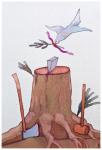 thumbnail.php?thumbnail=gal/I_disegni_di_Ugo_Pierri_a_tema_europeo/PG-06_Di_altri_diluvi_una_colomba_ascolto.jpg